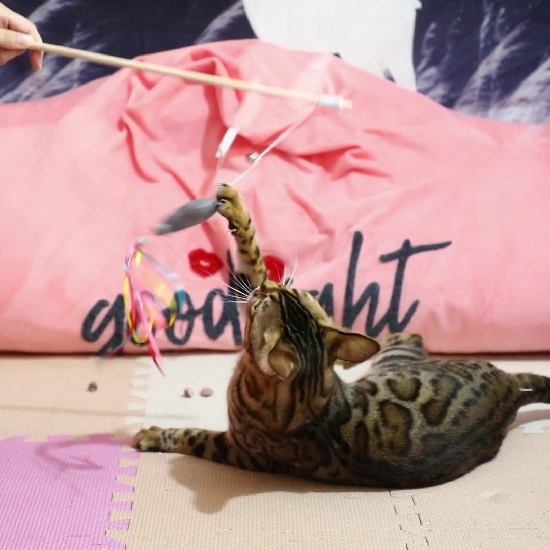 Colorful Teaser Wand Toy for Cats with Catnip Fish