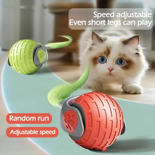 Interactive Cat Toys Ball Auto Electric Rolling Ball Toys For Cats
