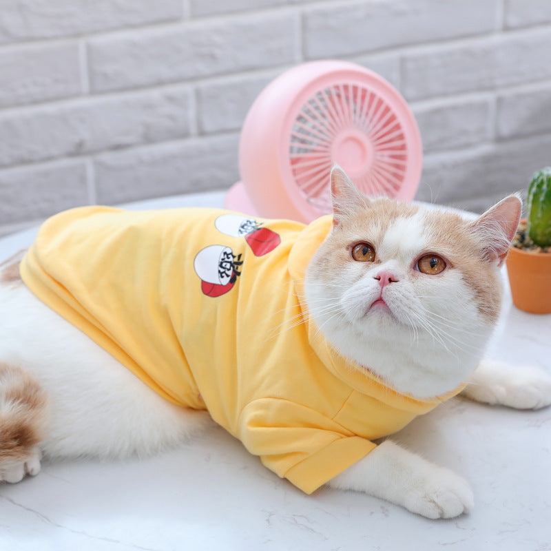 Colorful Cat Hoodie for Summer