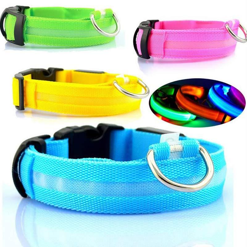 LED Pet Collar with Nylon Leash