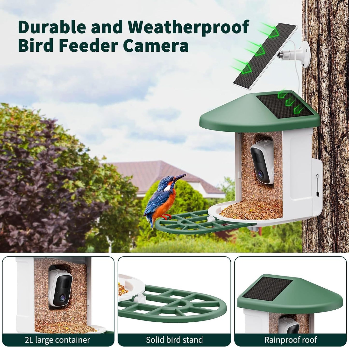 Wi-Fi Enabled Feeder Surveillance Camera