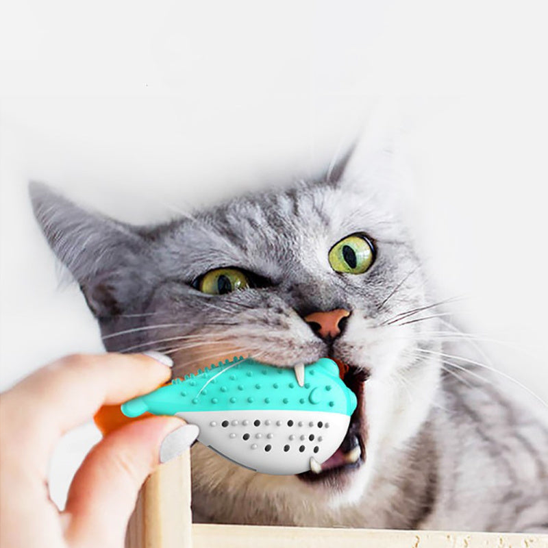 Mint-Scented Cat Teaser and Toothbrush Toy