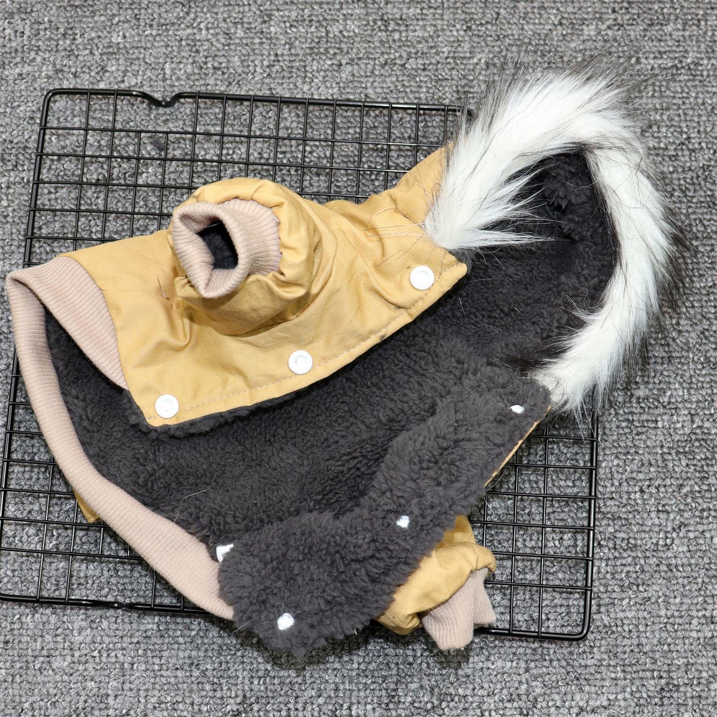 Insulated Dog Jacket for Small Dogs