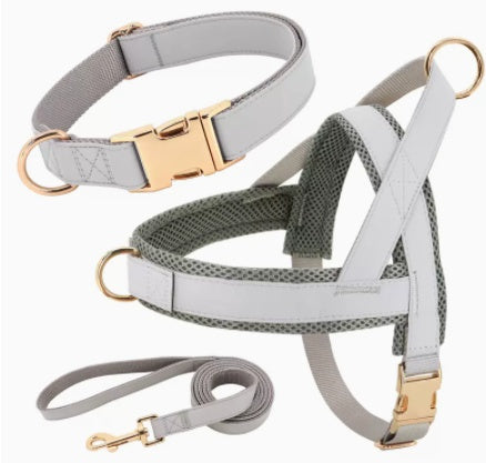 Unique Dog Harness with Coordinating Leash