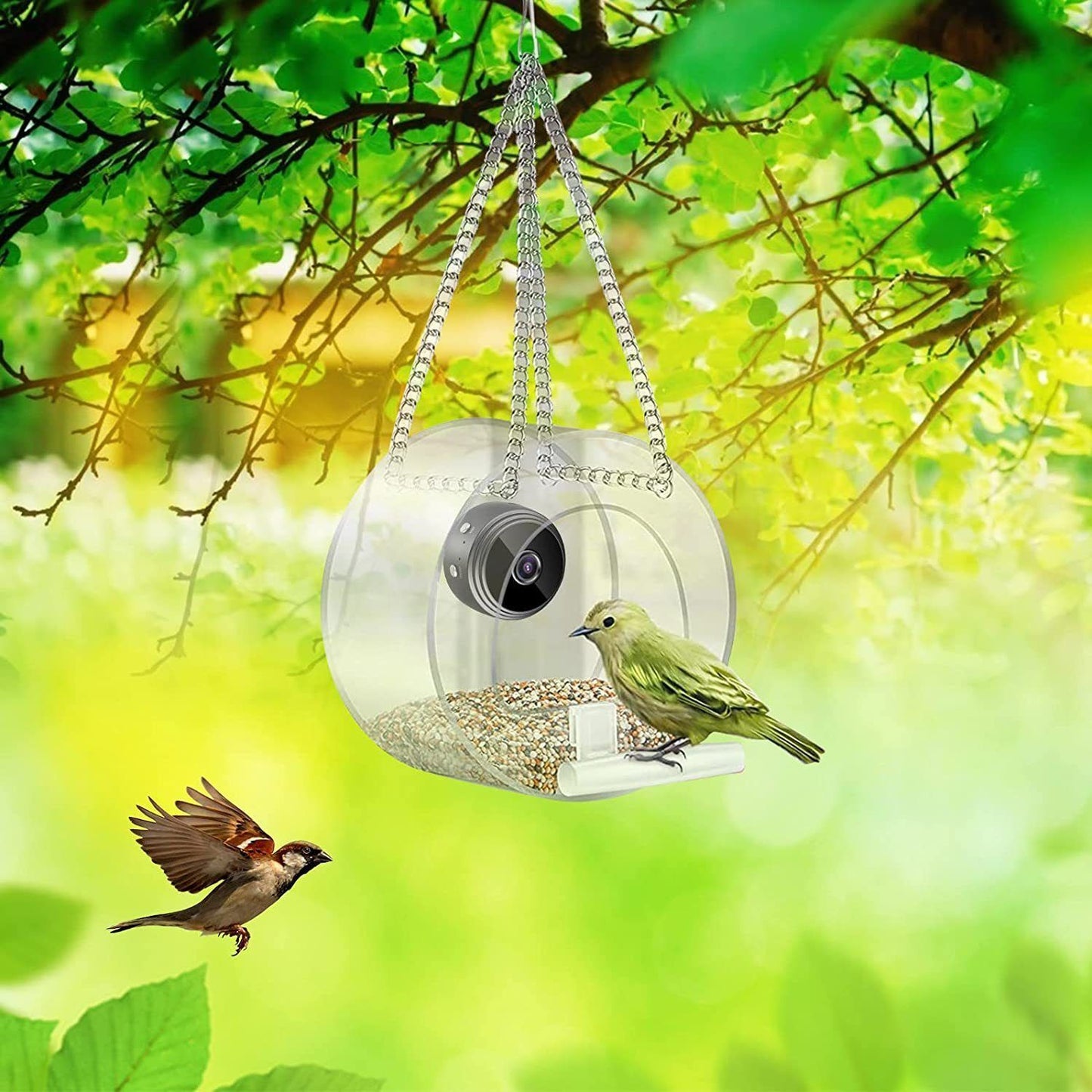 Outdoor Pet Feeder with HD Camera and Real-time Monitoring
