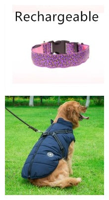 Leopard Pattern LED Safety Collar for Dogs