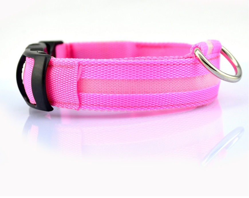 LED Pet Collar with Nylon Leash