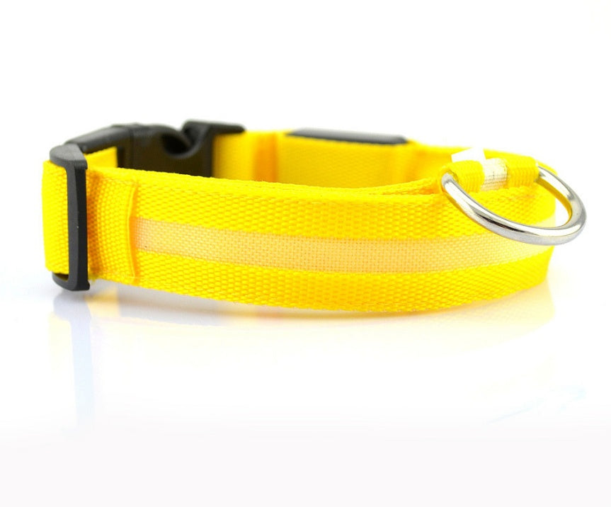 LED Pet Collar with Nylon Leash