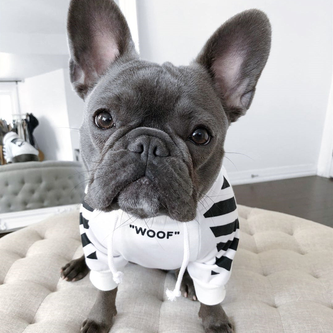 Trendy Winter Dog Sweater with Athletic Stripe