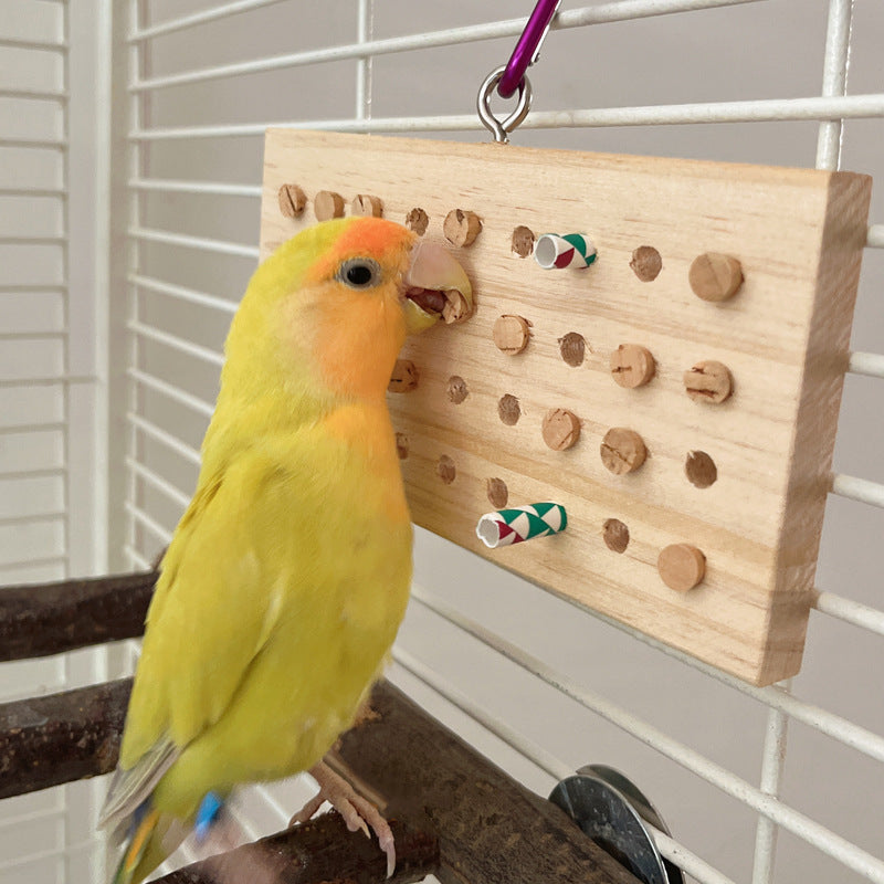 Interactive Parrot Chewing and Training Toy with Keyboard Design