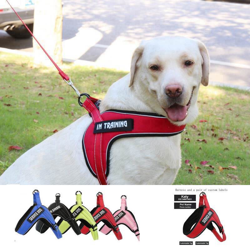 Adjustable Dog Harness Vest with Reflective Features