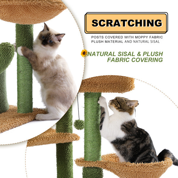 Cat Scratching and Climbing Frame