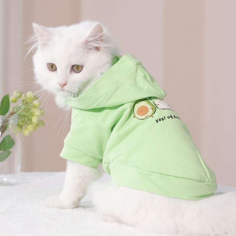 Colorful Cat Hoodie for Summer