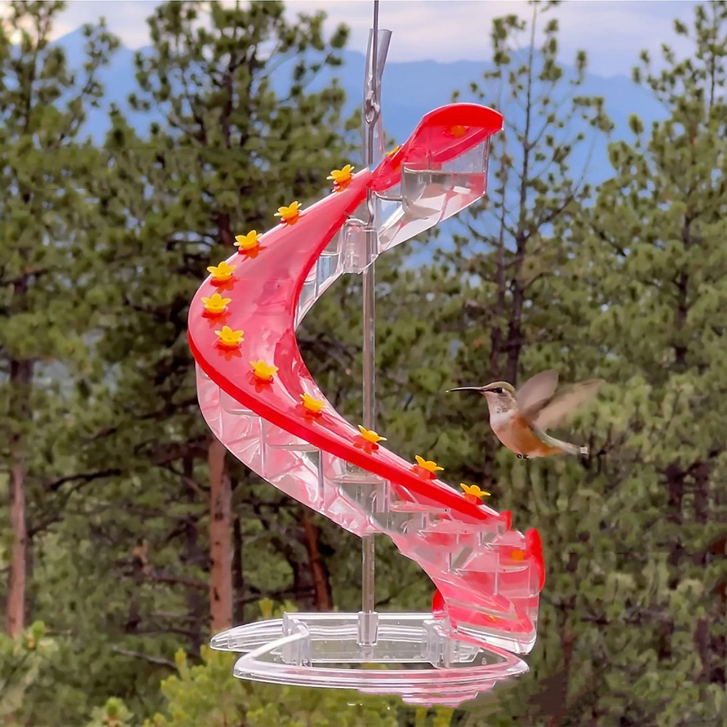 Spiral Ladder Hummingbird Nectar Feeder