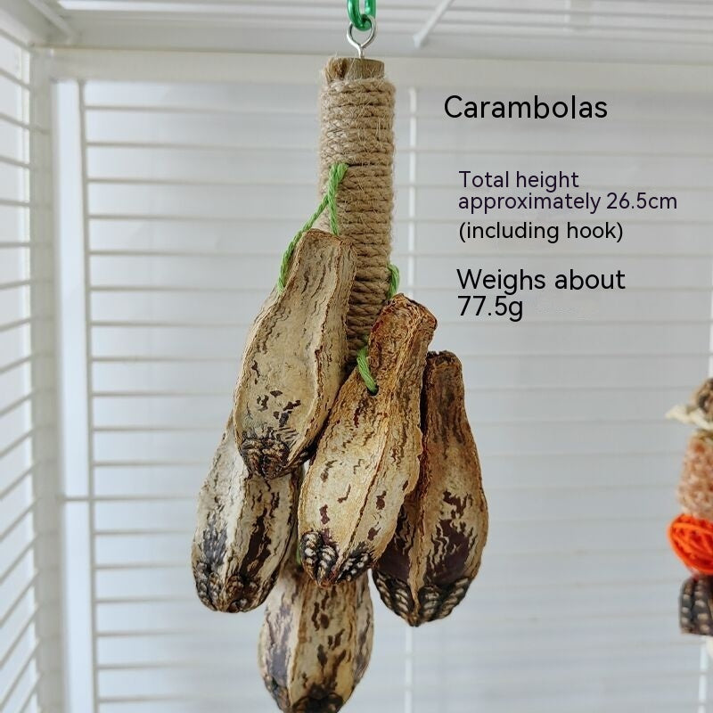 Wooden Parrot Stand with Bite Chew Toys