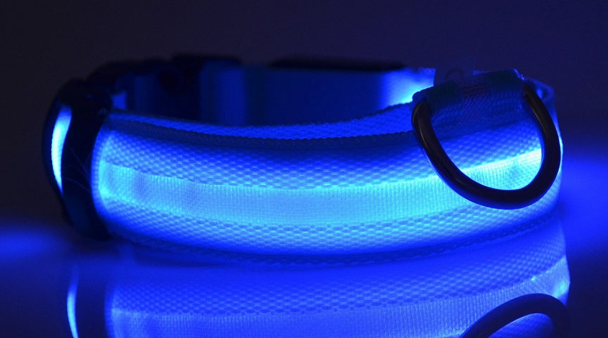 LED Pet Collar with Nylon Leash