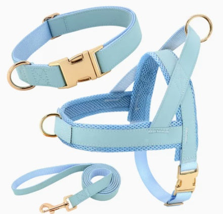 Unique Dog Harness with Coordinating Leash