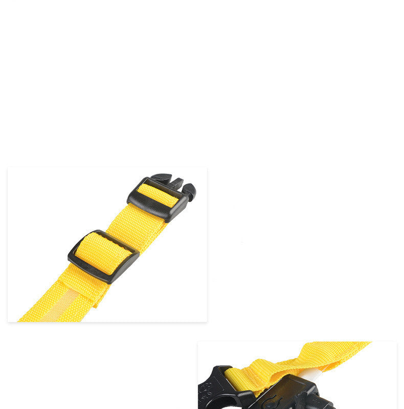 LED Pet Collar with Nylon Leash