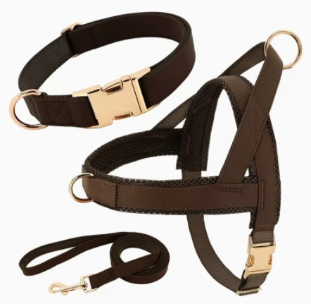 Unique Dog Harness with Coordinating Leash
