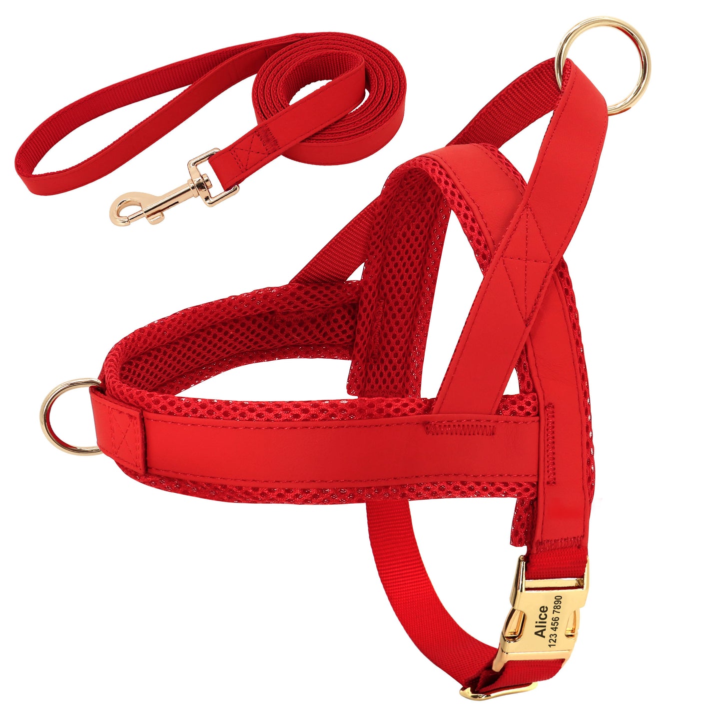 Unique Dog Harness with Coordinating Leash