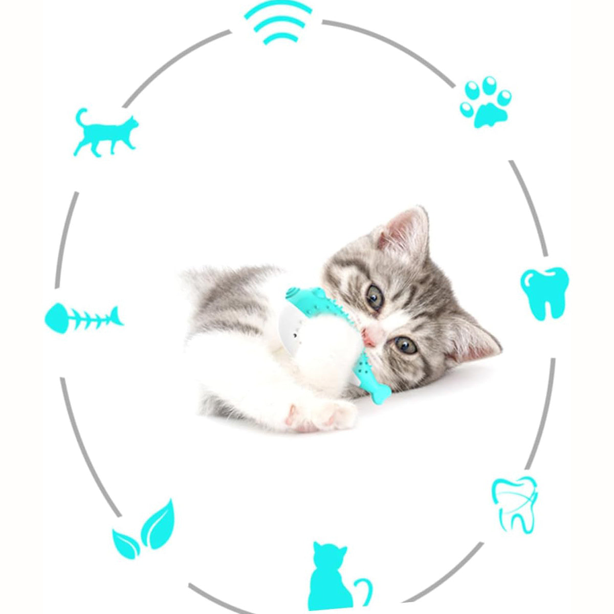 Mint-Scented Cat Teaser and Toothbrush Toy