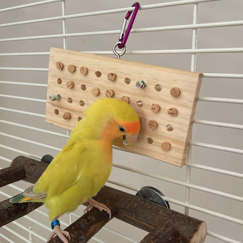 Interactive Parrot Chewing and Training Toy with Keyboard Design