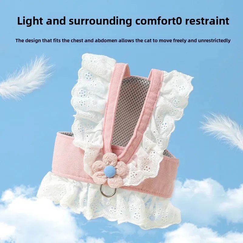 Lightweight Cat Walking Gear