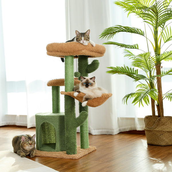 Cat Scratching and Climbing Frame