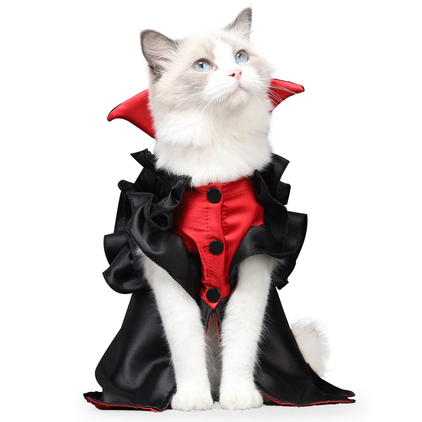 Vampire-Themed Pet Costume for Halloween