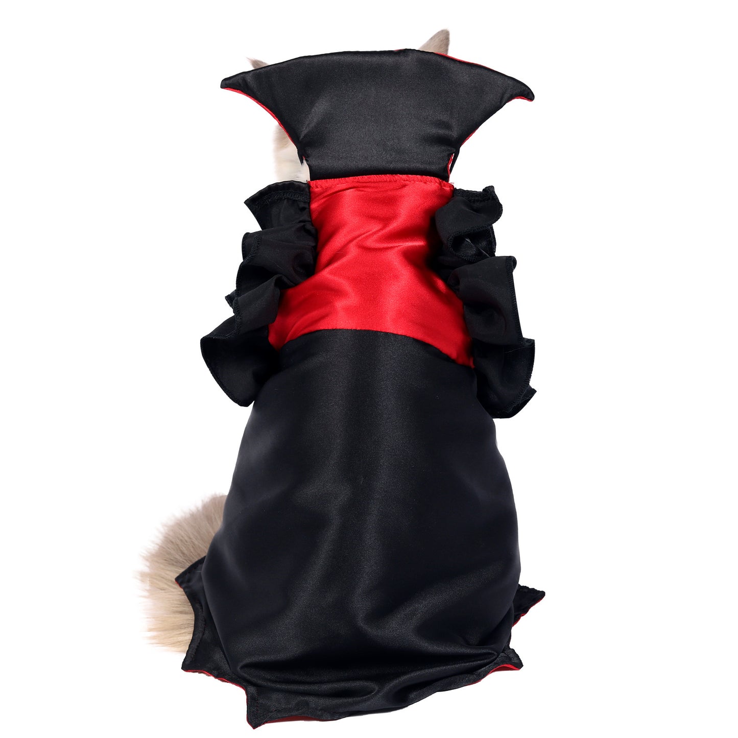 Vampire-Themed Pet Costume for Halloween