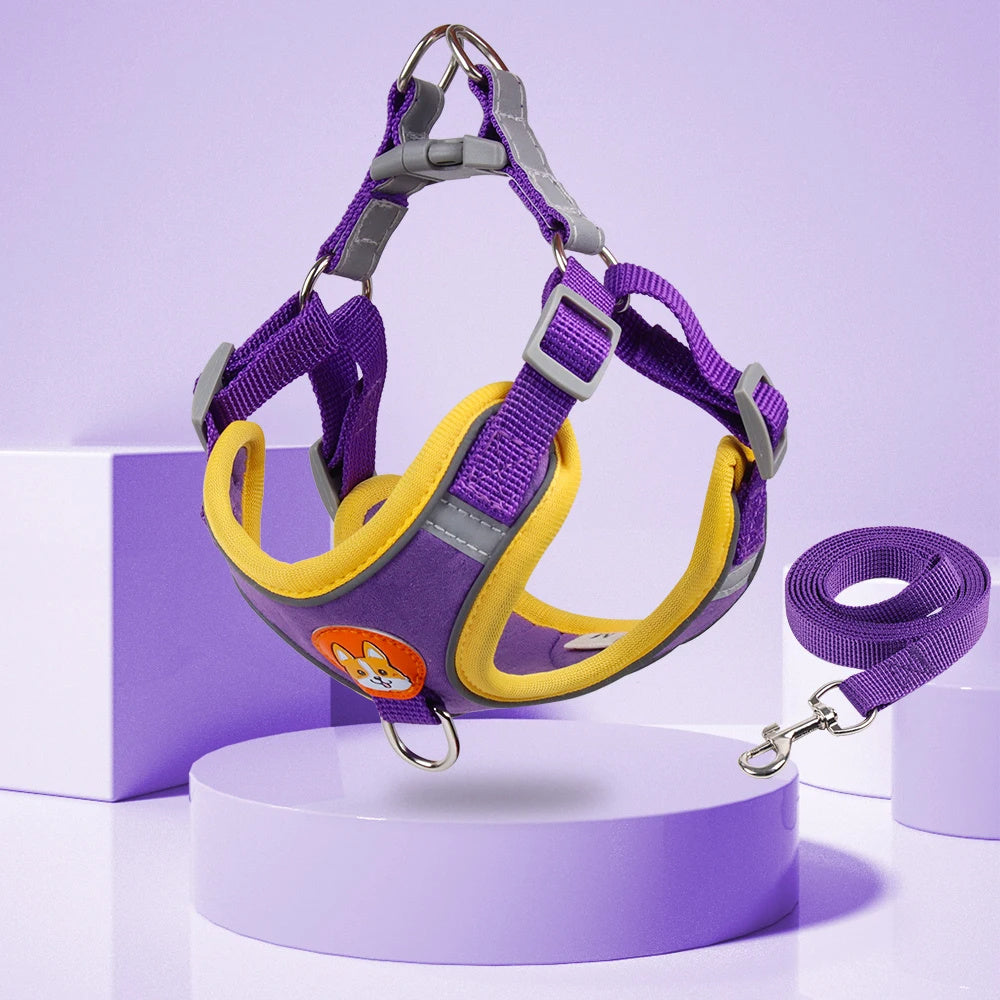Pet Dog Harness and Leash Set