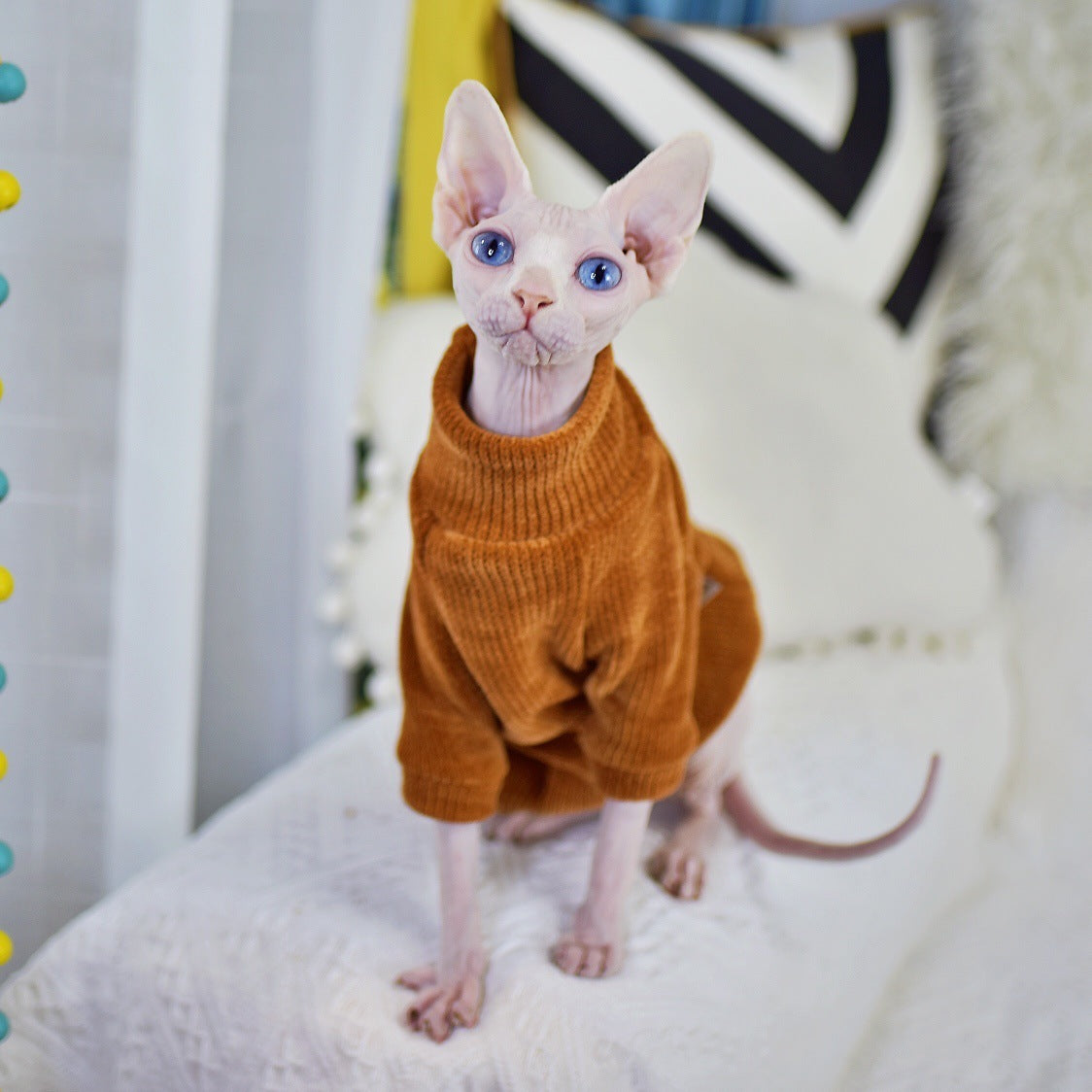 Winter Warmth Chenille Cat Sweater