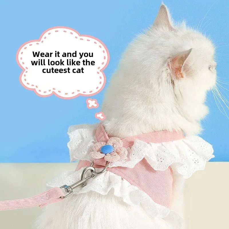 Lightweight Cat Walking Gear
