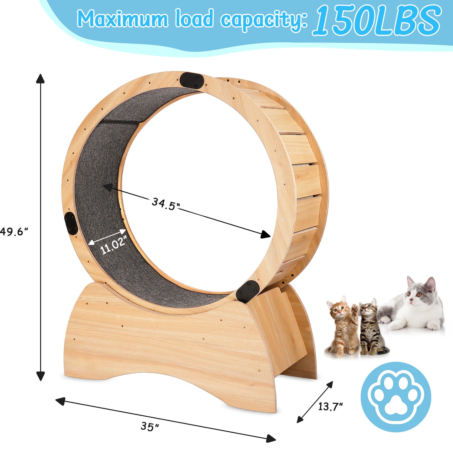 Cat Fitness Wheel for Spinning, Running, and Scratching