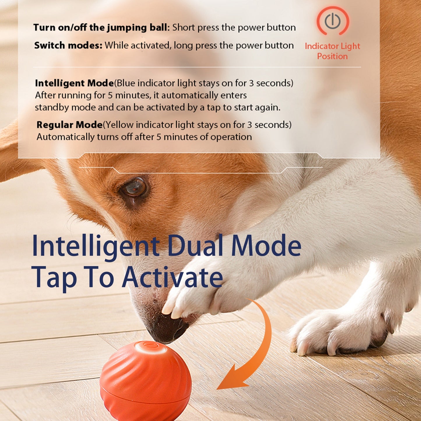 Automatic interactive bouncing ball for dogs – smart self-moving toy with rotating motion, quiet urchin cover, and USB rechargeable design.