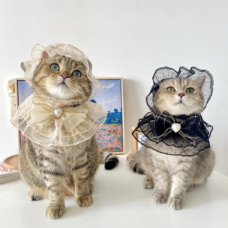 Pet Lace Dress with Matching Hat