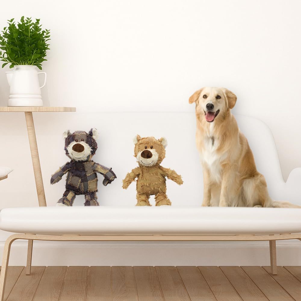 Long-Lasting Squeaky Dog Toy for Aggressive Chewers
