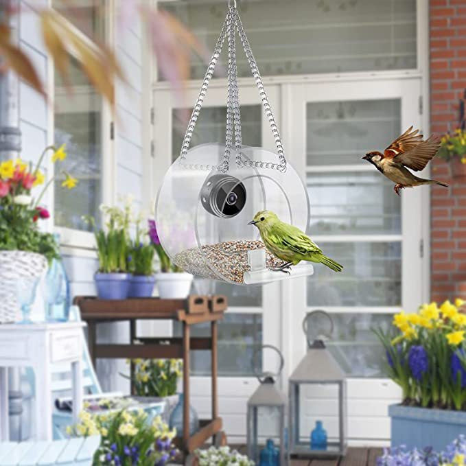Outdoor Pet Feeder with HD Camera and Real-time Monitoring