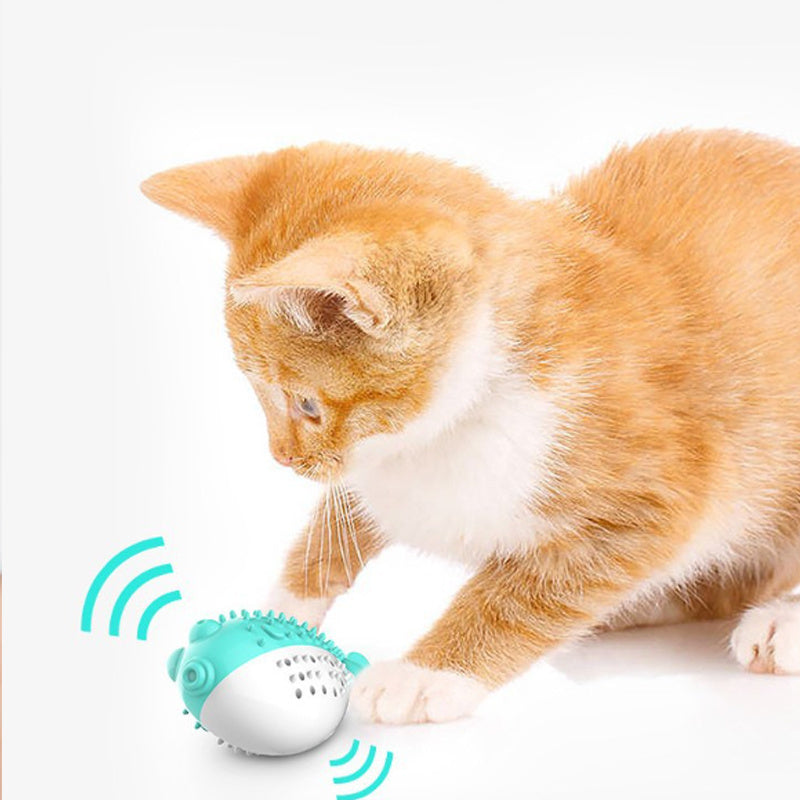 Mint-Scented Cat Teaser and Toothbrush Toy