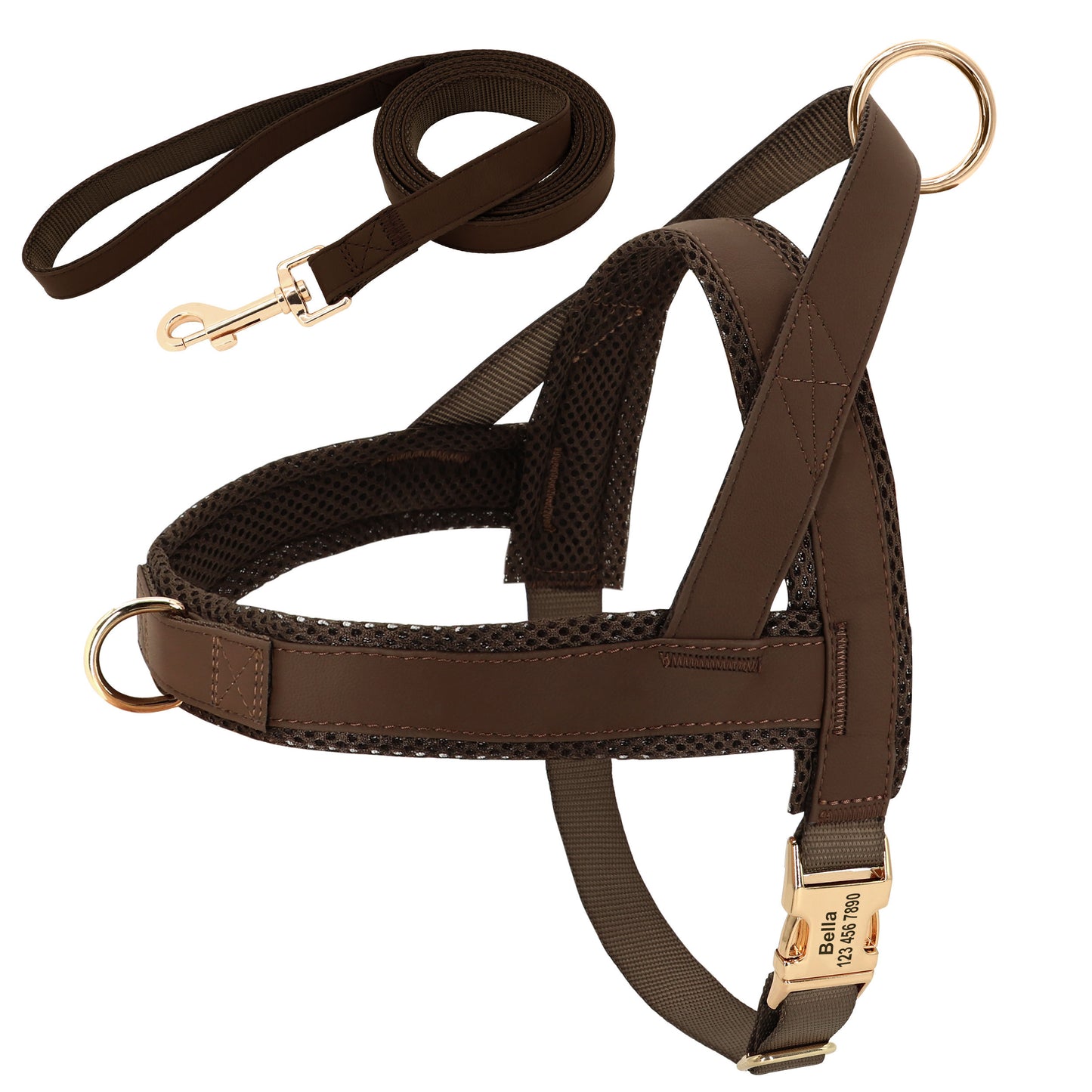 Unique Dog Harness with Coordinating Leash