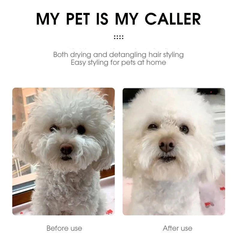 Portable Pet Grooming Hair Dryer with Slicker Brush for Cats and Dogs