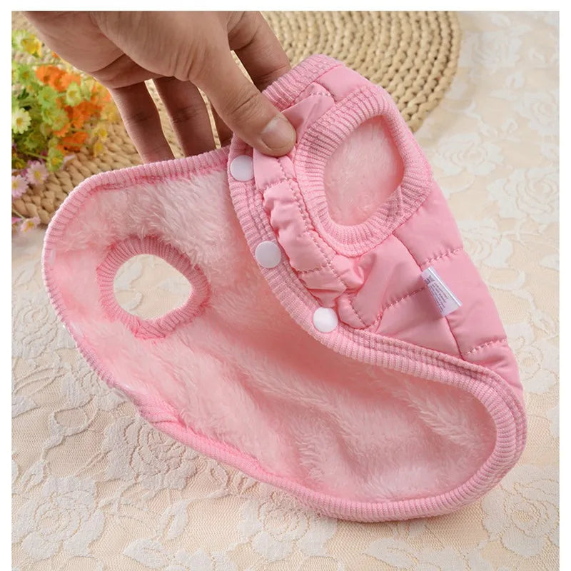 Fashionable Winter Pet Coat for Small & Medium Dogs