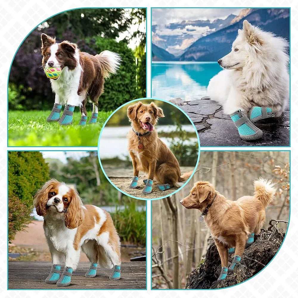 Non-slip Rain Footwear for Small Dogs, Puppies, and Cats