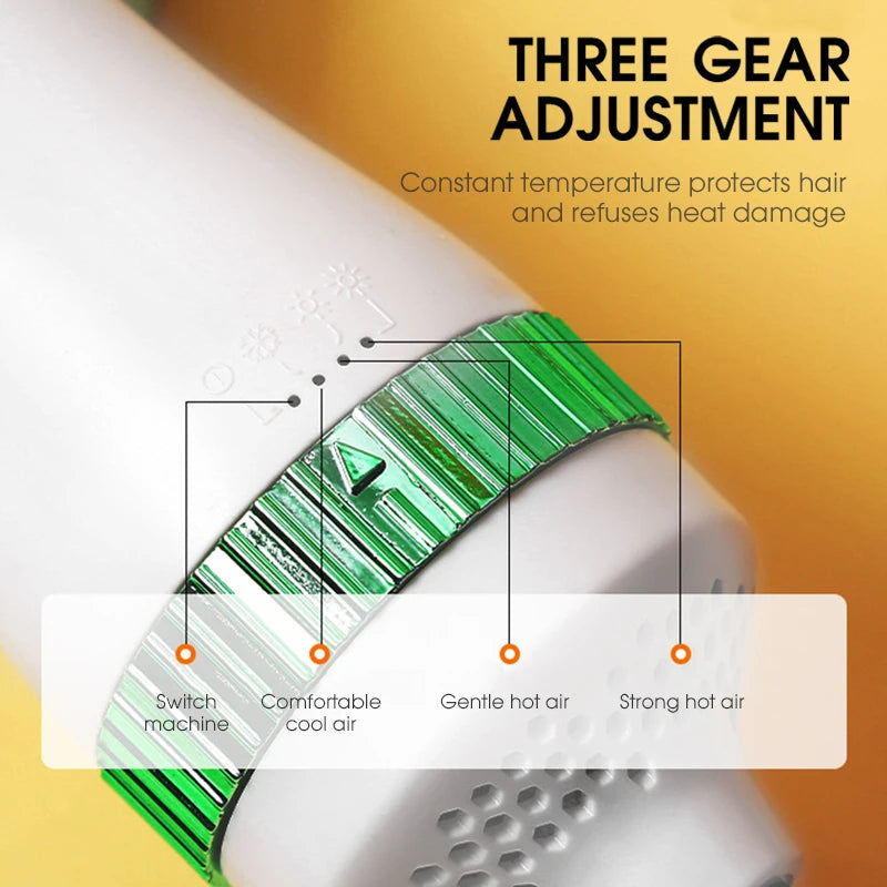 Portable Pet Grooming Hair Dryer with Slicker Brush for Cats and Dogs