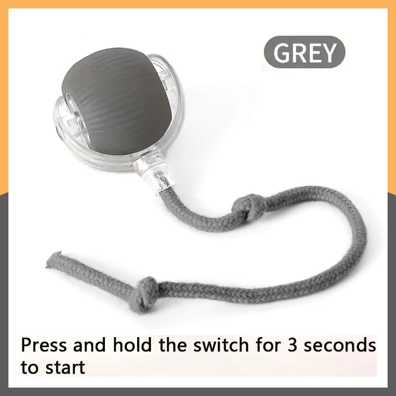 Electronic Bouncing Pet Toy Ball