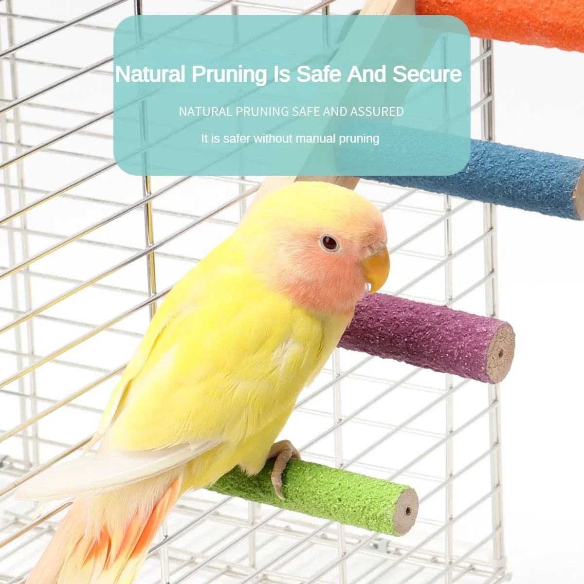 Step Ladder Toy for Pet Birds
