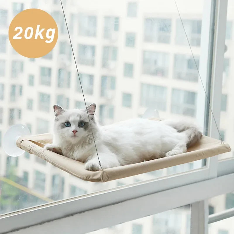 Comfortable Climbing Frame with Mounting Kit for Kittens