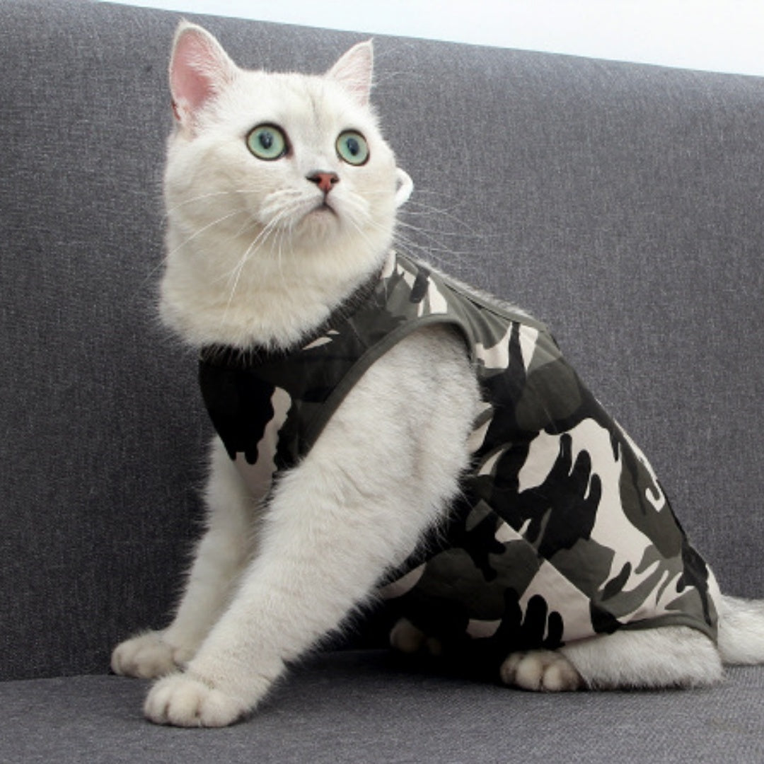Recovery Attire for Cats After Surgery