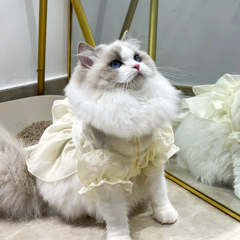 Hair Loss Control Cat skirt