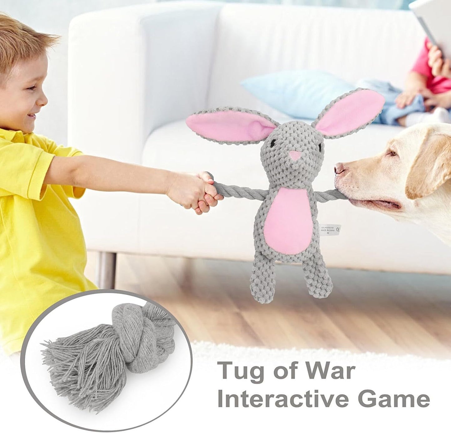 Interactive Squeaky Dog Toys